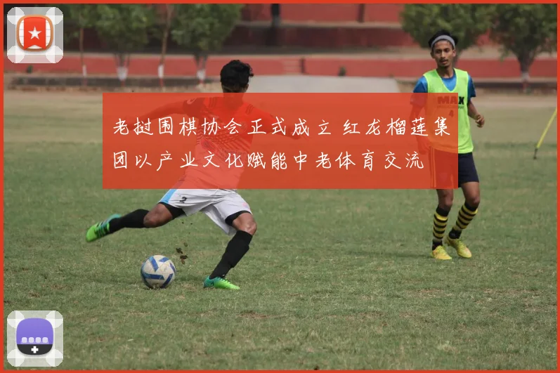 老挝围棋协会正式成立 红龙榴莲集团以产业文化赋能中老体育交流