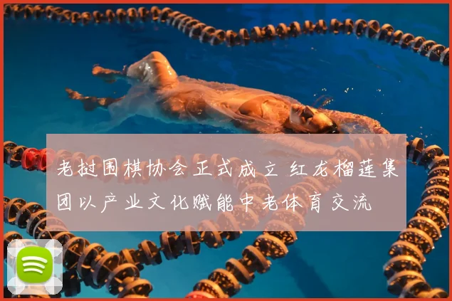 老挝围棋协会正式成立 红龙榴莲集团以产业文化赋能中老体育交流