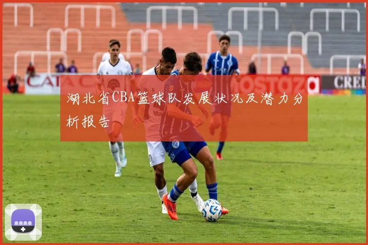 湖北省CBA篮球队发展状况及潜力分析报告