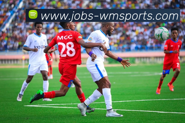 完美体育官网发展历程